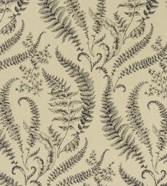 Folium Fabric by Clarke & Clarke Linen Folium Fabric by Clarke & Clarke Linen