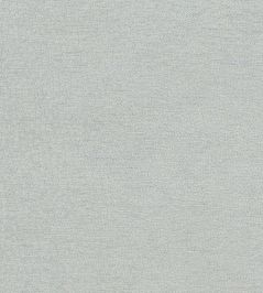 Nebula Fabric by Clarke & Clarke Dove Nebula Fabric by Clarke & Clarke Dove