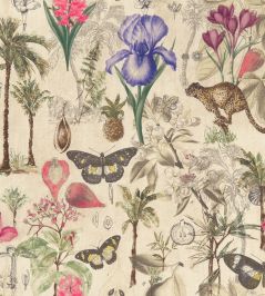 Botany Fabric by Clarke & Clarke Summer Botany Fabric by Clarke & Clarke Summer