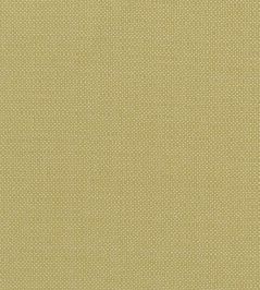 Kauai Fabric by Clarke & Clarke Citron Kauai Fabric by Clarke & Clarke Citron