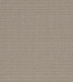 Kauai Fabric by Clarke & Clarke Mocha Kauai Fabric by Clarke & Clarke Mocha