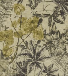 Madagascar Fabric by Clarke & Clarke Charcoal / Chartreuse Madagascar Fabric by Clarke & Clarke Charcoal / Chartreuse