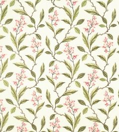 Melrose Fabric by Clarke & Clarke Pink / Apple Melrose Fabric by Clarke & Clarke Pink / Apple