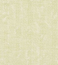 Ashmore Fabric by Clarke & Clarke Citron Ashmore Fabric by Clarke & Clarke Citron