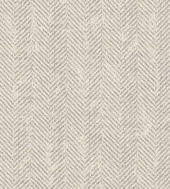 Ashmore Fabric by Clarke & Clarke Dove Ashmore Fabric by Clarke & Clarke Dove