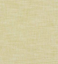Milton Fabric by Clarke & Clarke Citron Milton Fabric by Clarke & Clarke Citron