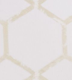 Forma Fabric by Clarke & Clarke Champagne Forma Fabric by Clarke & Clarke Champagne