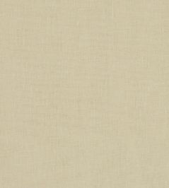 Midori Fabric by Clarke & Clarke Bamboo Midori Fabric by Clarke & Clarke Bamboo