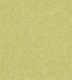 Midori Fabric by Clarke & Clarke Citron Midori Fabric by Clarke & Clarke Citron