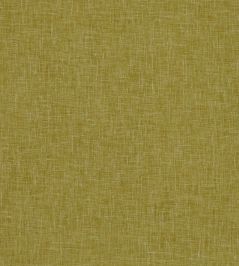 Midori Fabric by Clarke & Clarke Gold Midori Fabric by Clarke & Clarke Gold