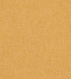 Midori Fabric by Clarke & Clarke Honey Midori Fabric by Clarke & Clarke Honey