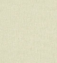 Midori Fabric by Clarke & Clarke Pistachio Midori Fabric by Clarke & Clarke Pistachio