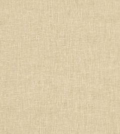 Midori Fabric by Clarke & Clarke Sand Midori Fabric by Clarke & Clarke Sand