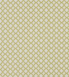Ariyana Fabric by Clarke & Clarke Chartreuse Ariyana Fabric by Clarke & Clarke Chartreuse