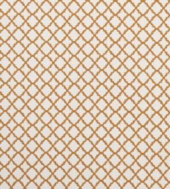 Ariyana Fabric by Clarke & Clarke Spice Ariyana Fabric by Clarke & Clarke Spice