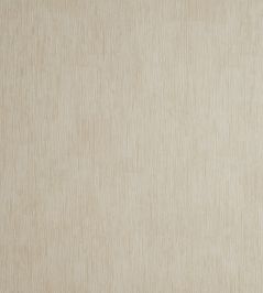 Rafi Wallpaper by Clarke & Clarke Cream Rafi Wallpaper by Clarke & Clarke Cream