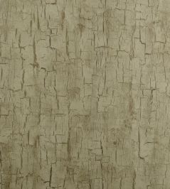 Tree Bark Wallpaper by Clarke & Clarke Antique Tree Bark Wallpaper by Clarke & Clarke Antique