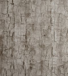 Tree Bark Wallpaper by Clarke & Clarke Pewter Tree Bark Wallpaper by Clarke & Clarke Pewter