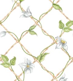 Clematis on Bamboo Trellis Wallpaper by Alice Crawley Green Clematis on Bamboo Trellis Wallpaper by Alice Crawley Green
