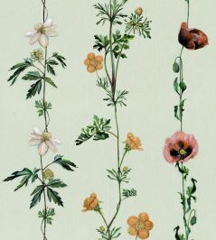 Climbing Flowers Wallpaper by Coordonne Melon Climbing Flowers Wallpaper by Coordonne Melon