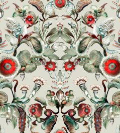 Coccinella Bella Wallpaper by Moooi Stone Grey Coccinella Bella Wallpaper by Moooi Stone Grey