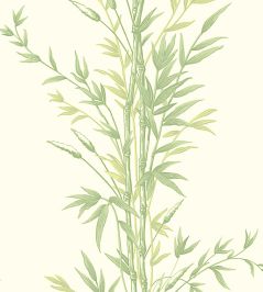 Bamboo Wallpaper by Cole & Son Olive Green Bamboo Wallpaper by Cole & Son Olive Green