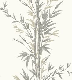 Bamboo Wallpaper by Cole & Son Taupe Bamboo Wallpaper by Cole & Son Taupe