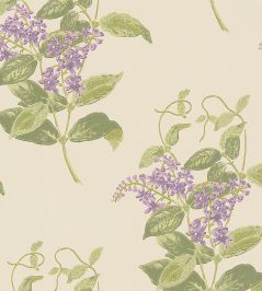 Madras Violet Wallpaper by Cole & Son Purple & Olive Madras Violet Wallpaper by Cole & Son Purple & Olive