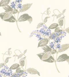 Madras Violet Wallpaper by Cole & Son Lilac & Stone Madras Violet Wallpaper by Cole & Son Lilac & Stone