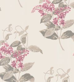 Madras Violet Wallpaper by Cole & Son Fuchsia & Linen Madras Violet Wallpaper by Cole & Son Fuchsia & Linen