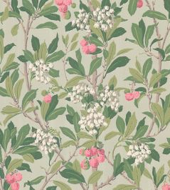 Strawberry Tree Wallpaper by Cole & Son Chalk, Rose & Forest Green Strawberry Tree Wallpaper by Cole & Son Chalk, Rose & Forest Green