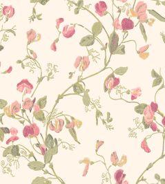 Sweet Pea Wallpaper by Cole & Son Coral & Olive Sweet Pea Wallpaper by Cole & Son Coral & Olive