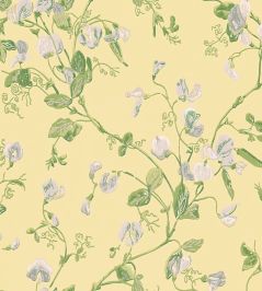 Sweet Pea Wallpaper by Cole & Son Grey & Lime Sweet Pea Wallpaper by Cole & Son Grey & Lime