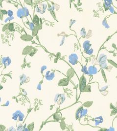 Sweet Pea Wallpaper by Cole & Son Cerulean & Sky Sweet Pea Wallpaper by Cole & Son Cerulean & Sky