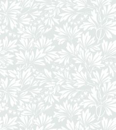 Dialytra Wallpaper by Cole & Son 11044 Dialytra Wallpaper by Cole & Son 11044