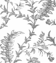 Ludlow Wallpaper by Cole & Son 1005 Ludlow Wallpaper by Cole & Son 1005
