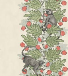 Acacia Wallpaper by Cole & Son 11051 Acacia Wallpaper by Cole & Son 11051