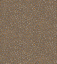 Senzo Spot Wallpaper by Cole & Son 6027 Senzo Spot Wallpaper by Cole & Son 6027