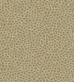 Senzo Spot Wallpaper by Cole & Son 6029 Senzo Spot Wallpaper by Cole & Son 6029