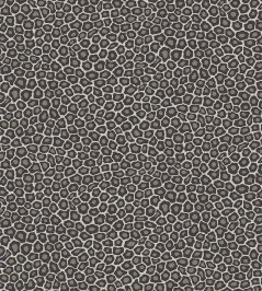 Senzo Spot Wallpaper by Cole & Son 6031 Senzo Spot Wallpaper by Cole & Son 6031