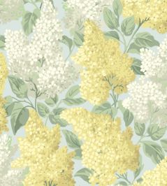 Lilac Wallpaper by Cole & Son Lemon & Old Olive on Print Room Blue Lilac Wallpaper by Cole & Son Lemon & Old Olive on Print Room Blue