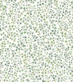 Maidenhair Wallpaper by Cole & Son Olive Maidenhair Wallpaper by Cole & Son Olive