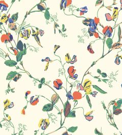 Sweet Pea Wallpaper by Cole & Son Autumnal Multi on Cream Sweet Pea Wallpaper by Cole & Son Autumnal Multi on Cream