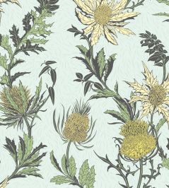 Thistle Wallpaper by Cole & Son Lemon & Olive on Duck Egg Thistle Wallpaper by Cole & Son Lemon & Olive on Duck Egg