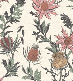 Thistle Wallpaper by Cole & Son Alabaster Pink & Orange on Parchment Thistle Wallpaper by Cole & Son Alabaster Pink & Orange on Parchment