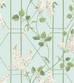 Wisteria Wallpaper by Cole & Son Stone & Olive on Duck Egg Wisteria Wallpaper by Cole & Son Stone & Olive on Duck Egg