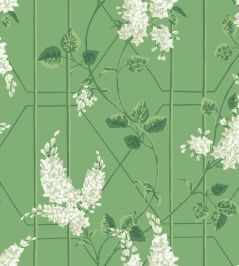 Wisteria Wallpaper by Cole & Son Sage on Leaf Green Wisteria Wallpaper by Cole & Son Sage on Leaf Green