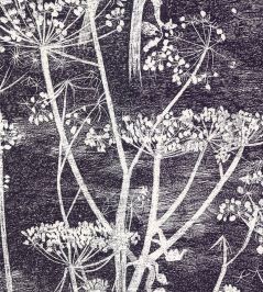 Cow Parsley Wallpaper by Cole & Son Etch Grey Cow Parsley Wallpaper by Cole & Son Etch Grey