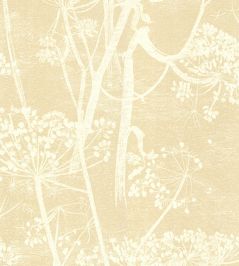 Cow Parsley Wallpaper by Cole & Son Warm Sand Cow Parsley Wallpaper by Cole & Son Warm Sand
