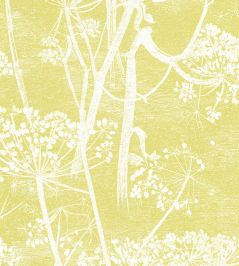 Cow Parsley Wallpaper by Cole & Son Yellow Cow Parsley Wallpaper by Cole & Son Yellow